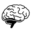 Brain