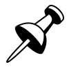 Pin